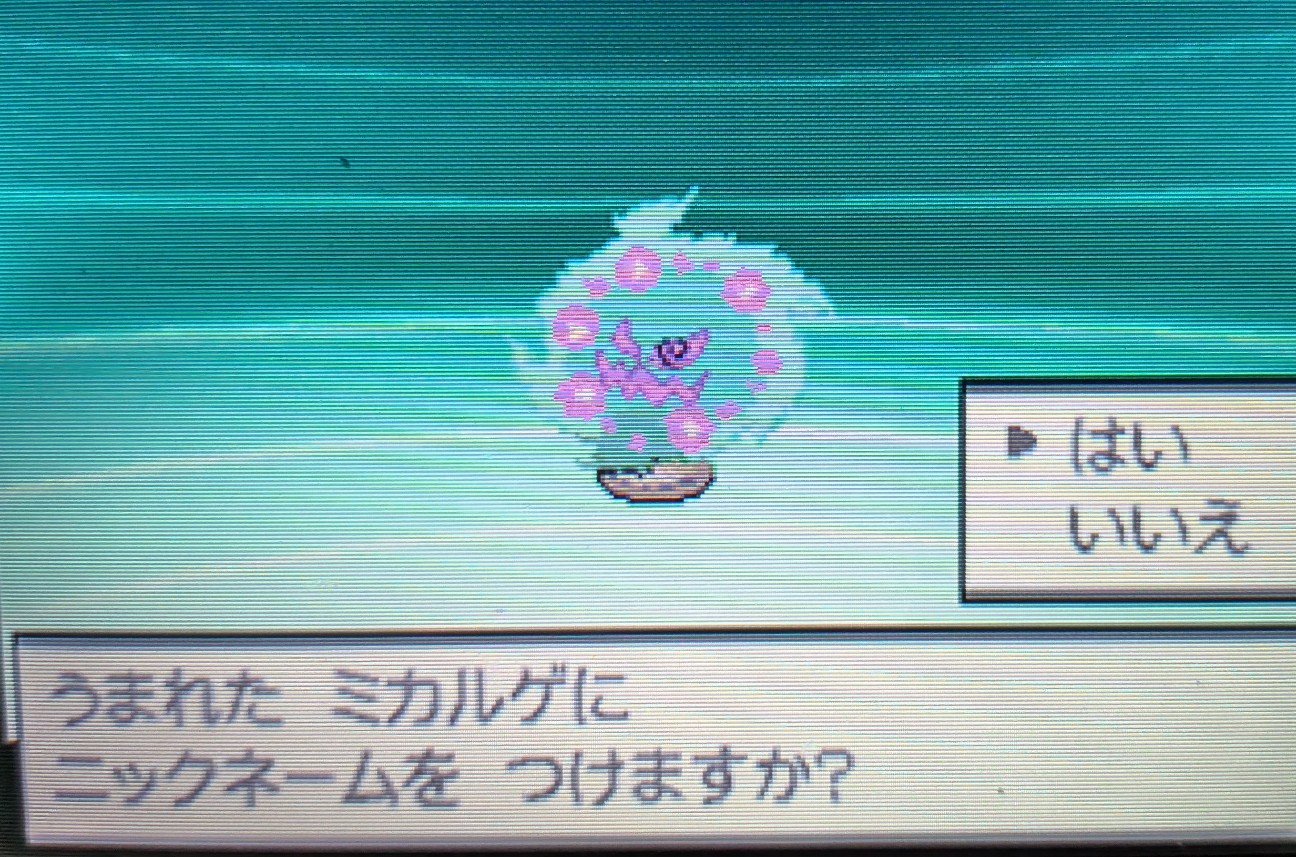 f:id:Arotsumigame:20260802123828j:image
