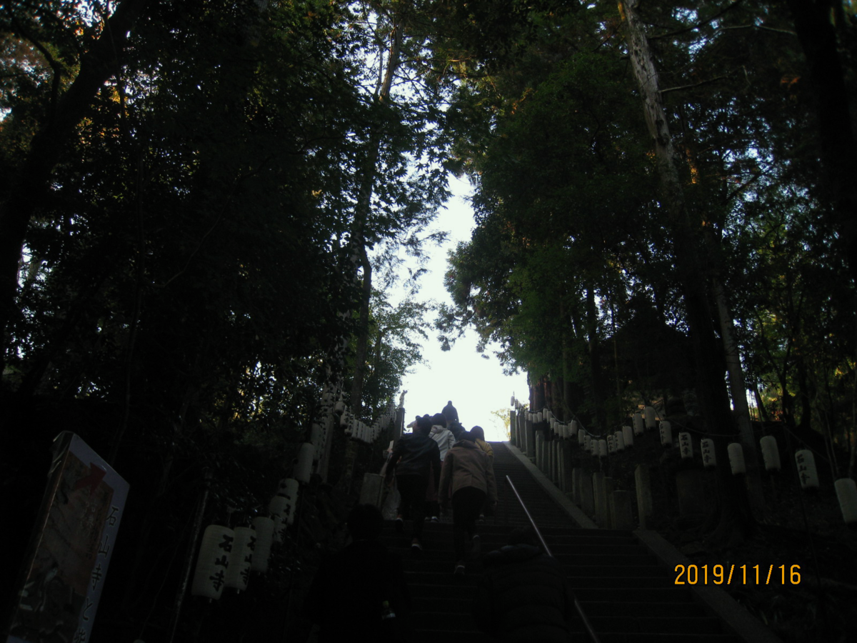 f:id:Arpino:20200501232626p:plain