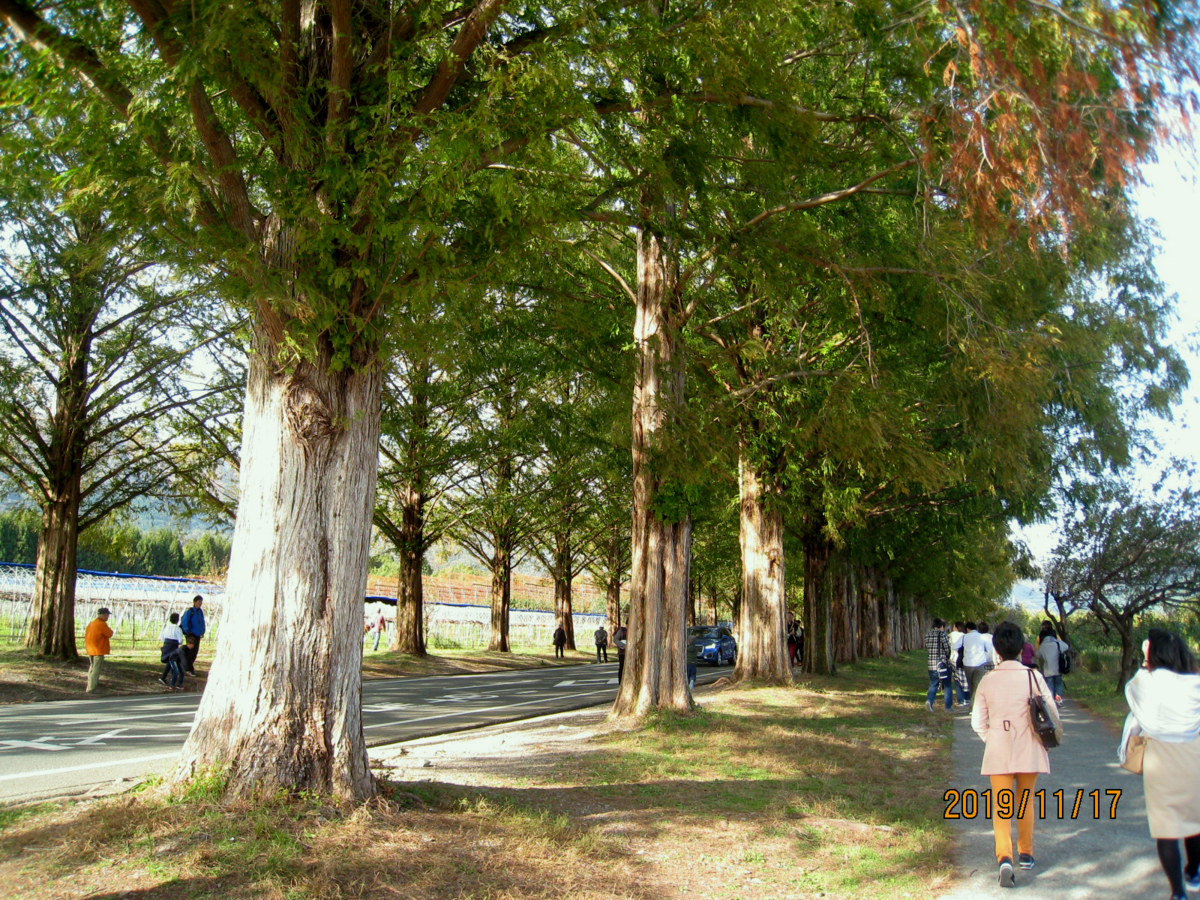 f:id:Arpino:20200502000457p:plain