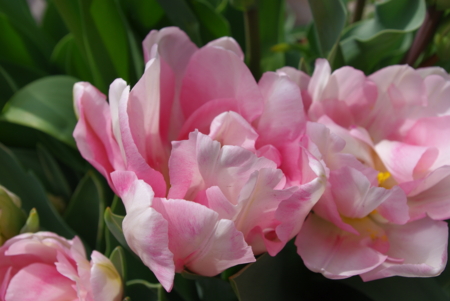 f:id:Artemis:20090328130603j:image:w250