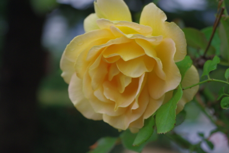 f:id:Artemis:20091025110253j:image f:id:Artemis:20091025110253j:image