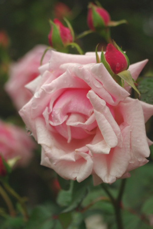 f:id:Artemis:20091025110950j:image f:id:Artemis:20091025110950j:image