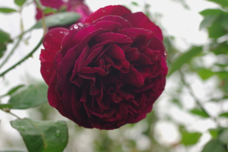 f:id:Artemis:20091025112741j:image f:id:Artemis:20091025112741j:image