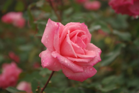 f:id:Artemis:20091025121134j:image f:id:Artemis:20091025121134j:image