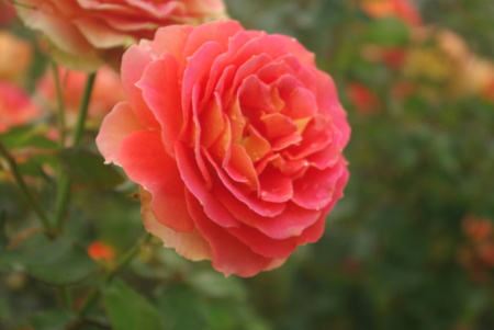 f:id:Artemis:20091025121527j:image f:id:Artemis:20091025121527j:image
