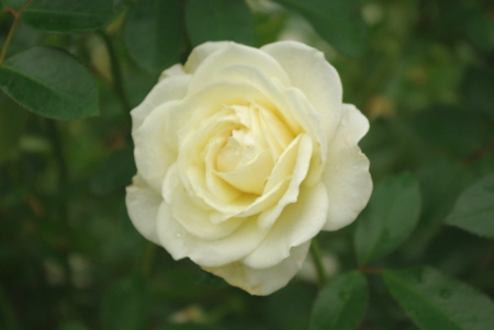 f:id:Artemis:20091025123648j:image f:id:Artemis:20091025123648j:image