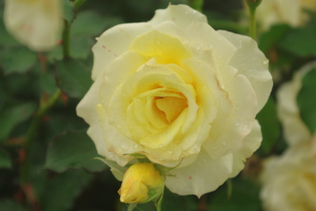 f:id:Artemis:20091025123723j:image f:id:Artemis:20091025123723j:image