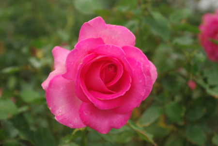 f:id:Artemis:20091025124112j:image f:id:Artemis:20091025124112j:image