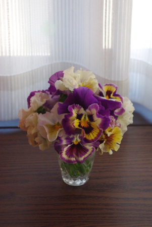 f:id:Artemis:20091115144246j:image:h300 f:id:Artemis:20091115144246j:image:h300