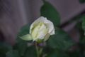 20100508173857