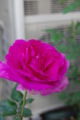 20100513061937