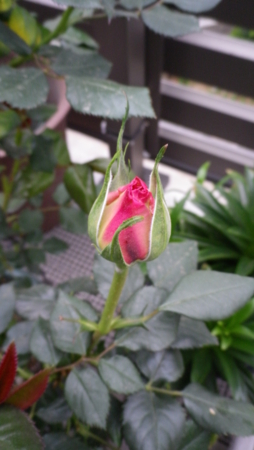 f:id:Artemis:20110418070153j:image