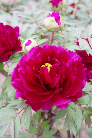 f:id:Artemis:20110505094958j:image:h360 f:id:Artemis:20110505094958j:image:h360