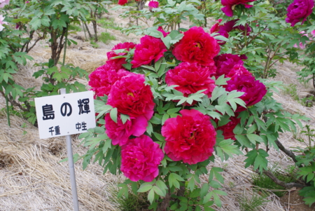 f:id:Artemis:20110505102226j:image:w360 f:id:Artemis:20110505102226j:image:w360