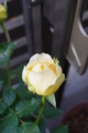 20110509070905