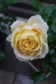 20110511070320