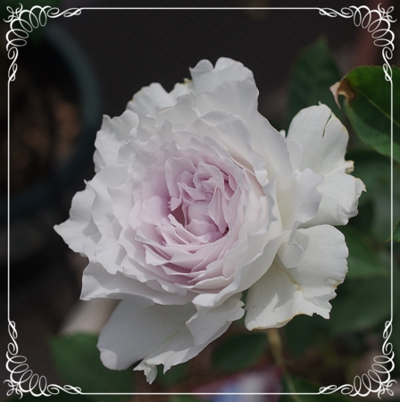 f:id:Artemis:20150506124736j:image:w360