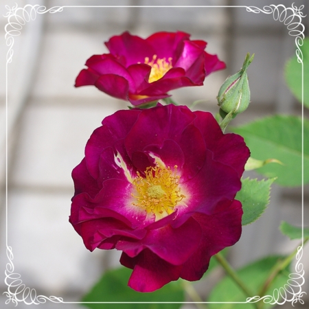 f:id:Artemis:20150506125136j:image:w360