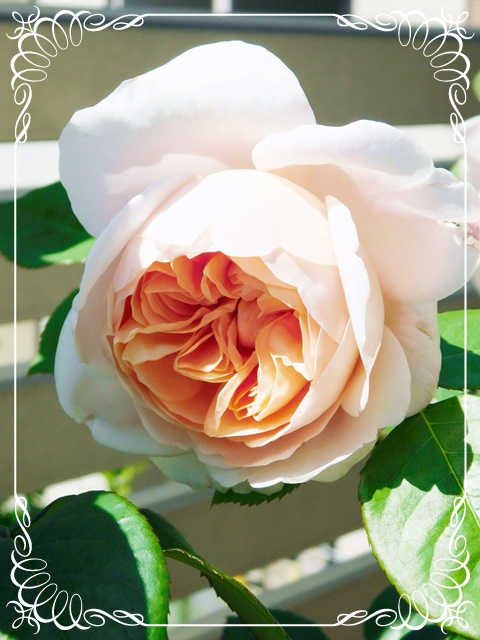 f:id:Artemis:20190503093601j:plain