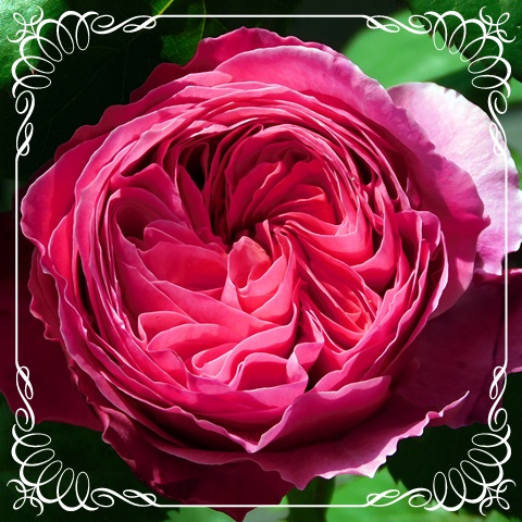f:id:Artemis:20190505100610j:plain