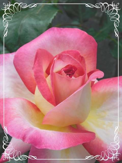 f:id:Artemis:20190506124602j:plain
