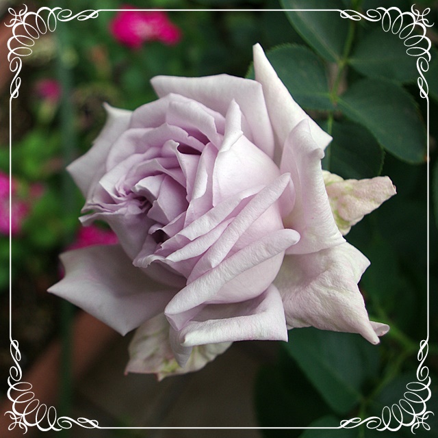 f:id:Artemis:20190519130457j:plain
