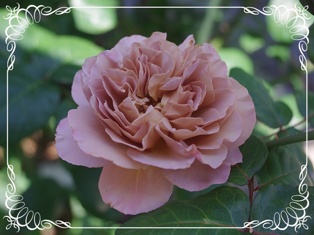 f:id:Artemis:20190525113039j:plain
