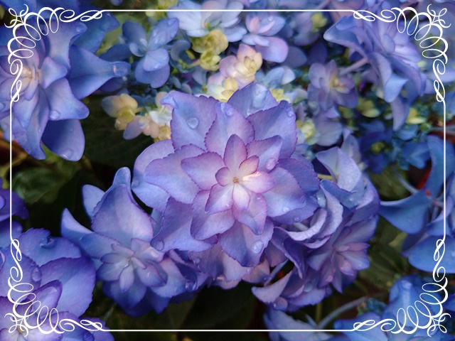 f:id:Artemis:20210506174835j:plain