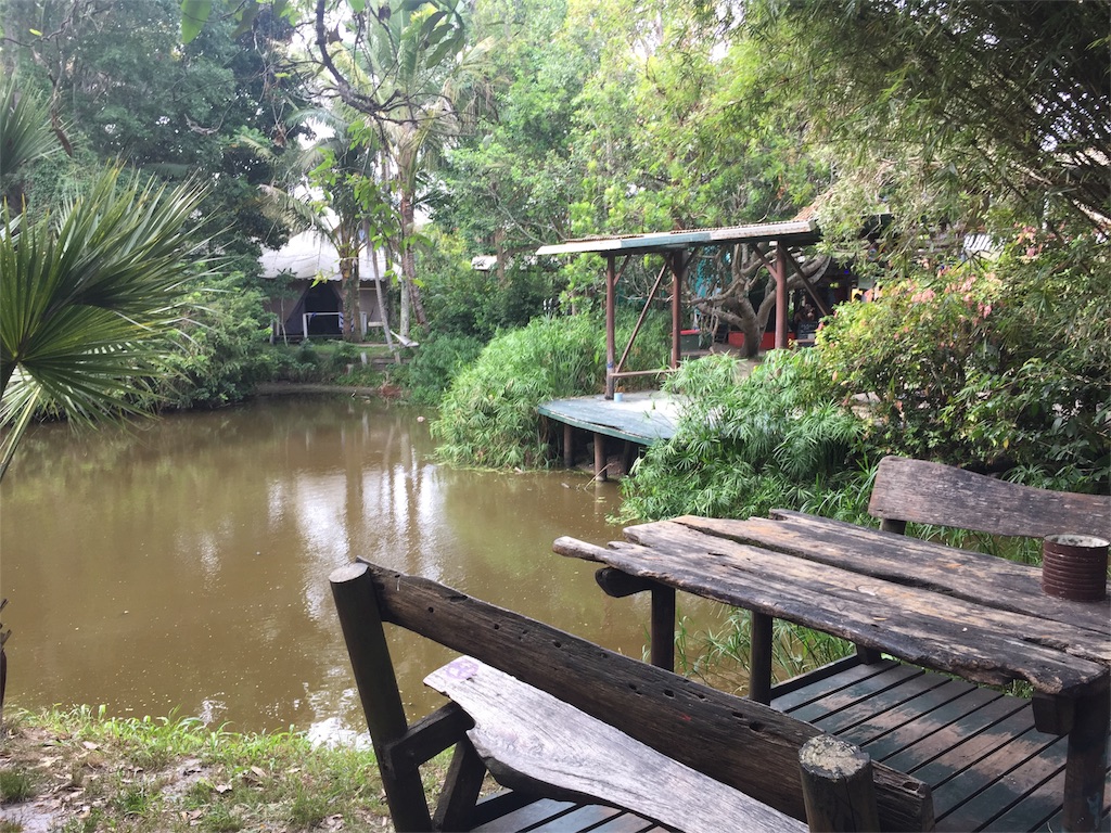 敵に塩を送る 意味知ってる 武士道 に秘められた日本の美学 パンダは地球を救う