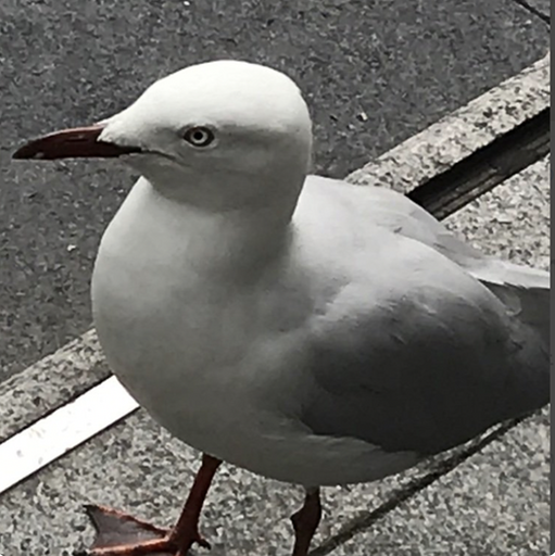 f:id:Arty_Mireiyu:20220323145107p:plain