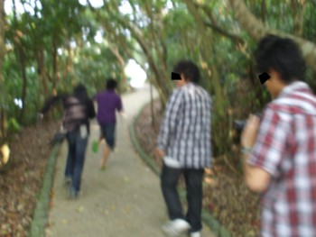 f:id:Arufa:20081122211807j:image