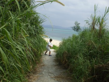 f:id:Arufa:20081122215043j:image