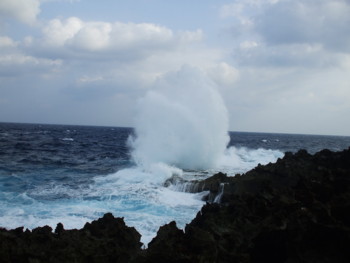 f:id:Arufa:20081122221845j:image
