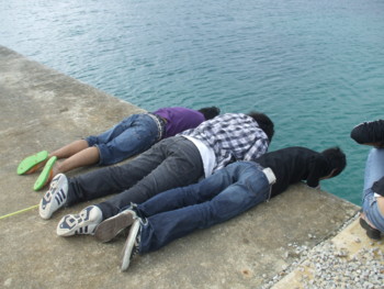 f:id:Arufa:20081122222139j:image
