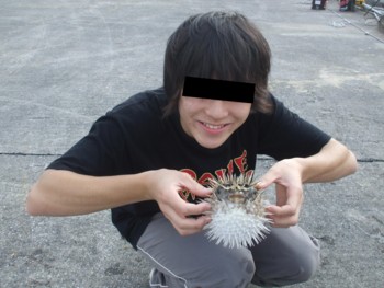 f:id:Arufa:20081122222140j:image