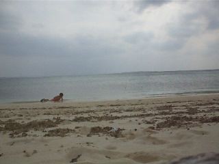 f:id:Arufa:20081122224726j:image