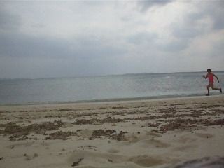 f:id:Arufa:20081122224728j:image