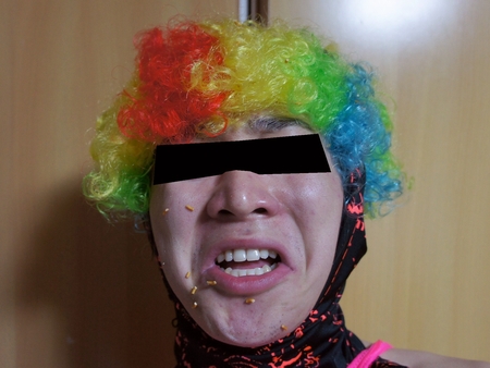 f:id:Arufa:20131031053929j:image