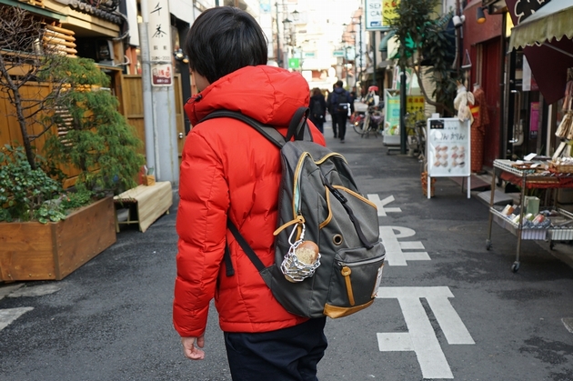 f:id:Arufa:20160225082716j:plain