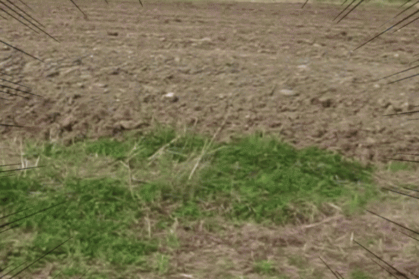 f:id:Arufa:20170501191742g:plain