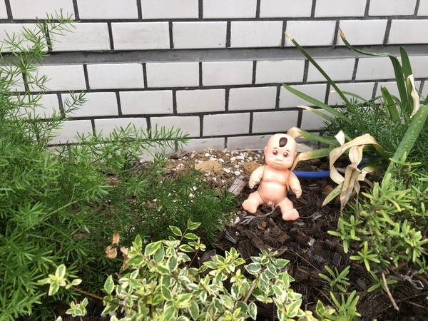 f:id:Arufa:20180902150201j:plain