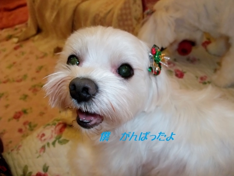 イメージ 3