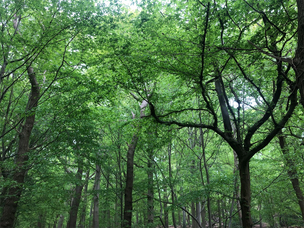 f:id:AsLondonaspossible:20220419075527j:image f:id:AsLondonaspossible:20220419075527j:image