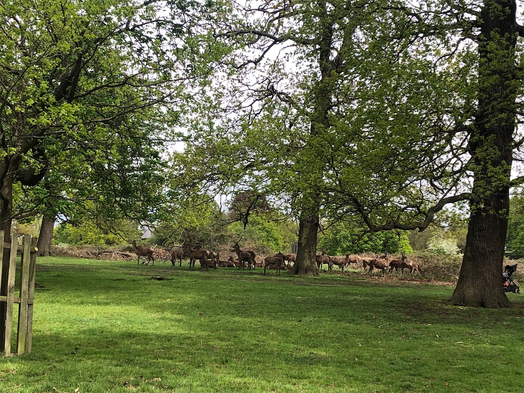 f:id:AsLondonaspossible:20220419075606j:image f:id:AsLondonaspossible:20220419075606j:image