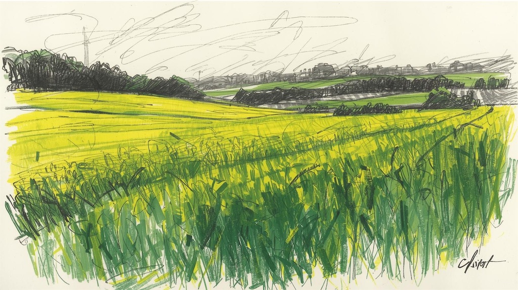 f:id:AsaForma:20251008232627j:image f:id:AsaForma:20251008232627j:image