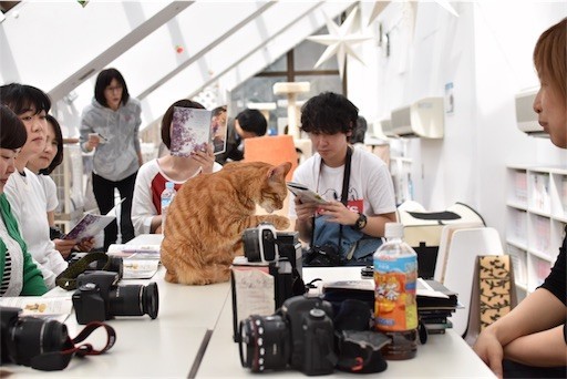 f:id:Asamimi:20180501194247j:image