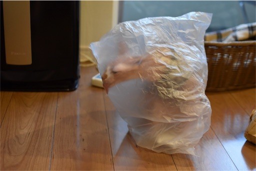 f:id:Asamimi:20180510220124j:image