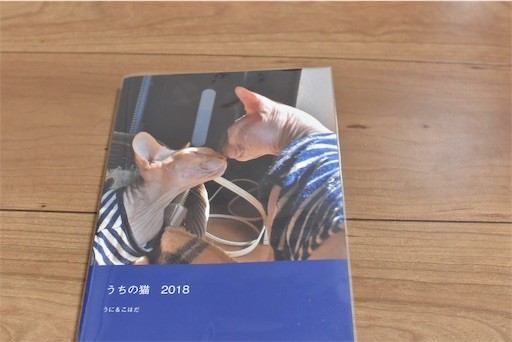 f:id:Asamimi:20190222192401j:image