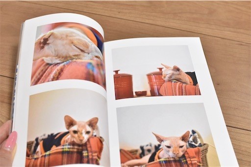 f:id:Asamimi:20190222192824j:image