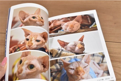 f:id:Asamimi:20190222192845j:image